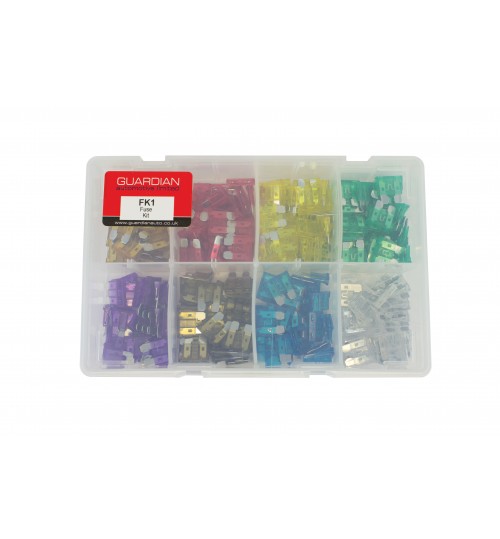 Assorted Blade Fuse Kit FK1